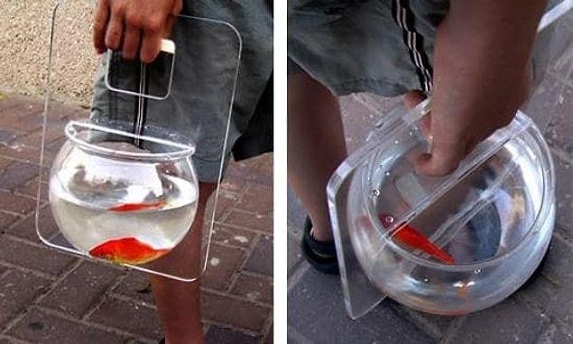 9. If your fish loves to enjoy long walks: