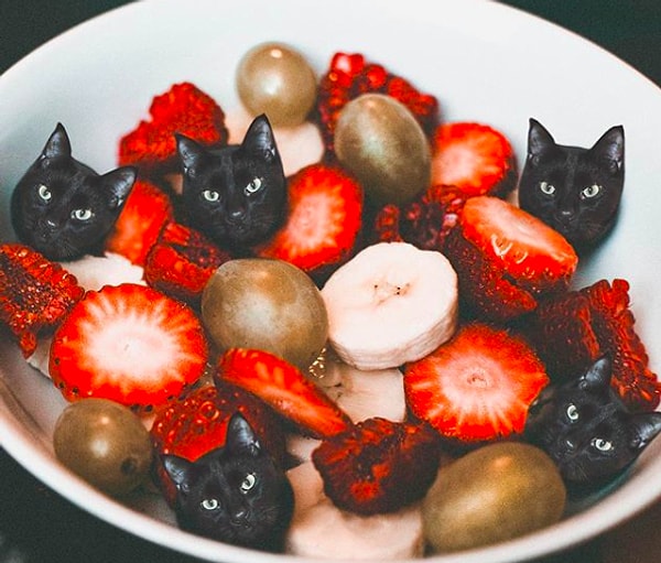 7. "Я все вижу!" 😂