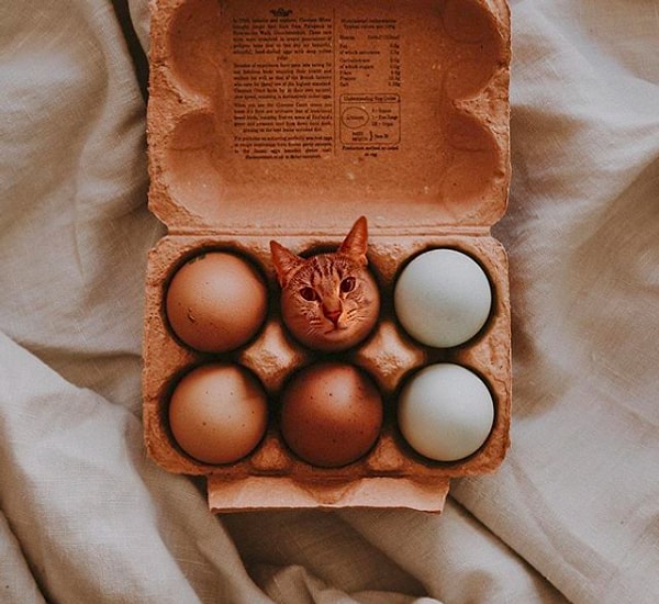 10. Вот так сюрприз!