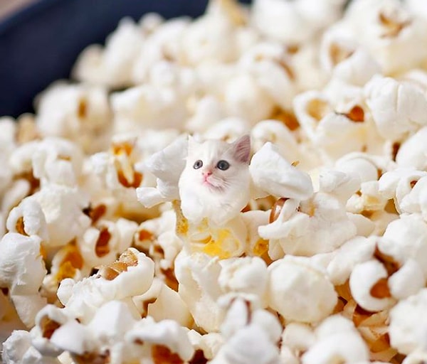 11. Вкусная мимимишность: