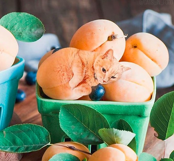 16. Красотища!