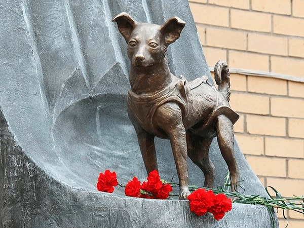 3. В честь какой знаменитой собаки установлен этот памятник?