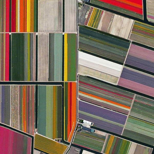 5. Цветущие поля тюльпанов в Лиссе, Нидерланды