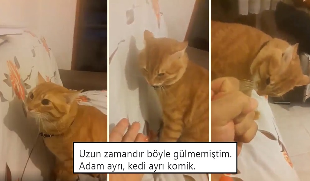 Twitter'ın Mizahşörleri Tarafından Paylaşılmış Geçtiğimiz Haftanın En İyi 27 Videosu