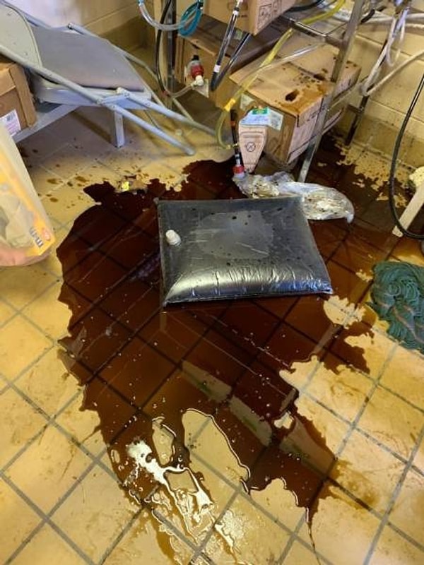 9. Аж сердце кровью обливается