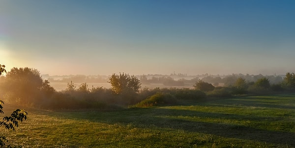 7. Кто написал стихотворение "Я пришел к тебе с приветом..."?