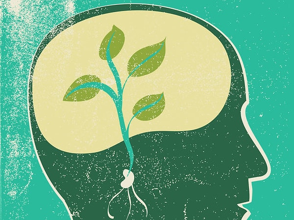 Растущий разум