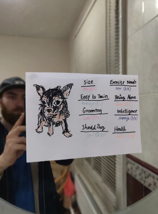 6. The girl who tries to convince his boyfriend that they need a dog by placing these all over ther apartment: