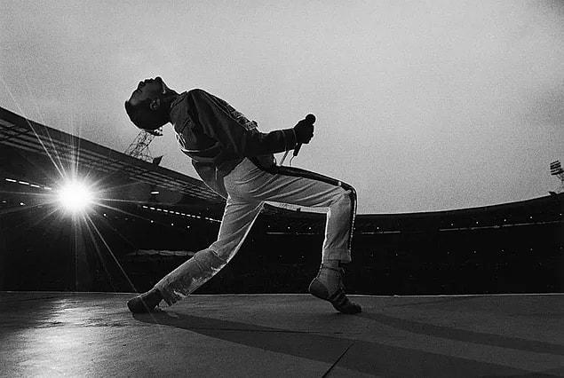 23. Dünya çapında 700'den fazla konserde Queen grubuyla birlikte sahne aldı ve grup 300 milyondan fazla albüm satışı yaptı.