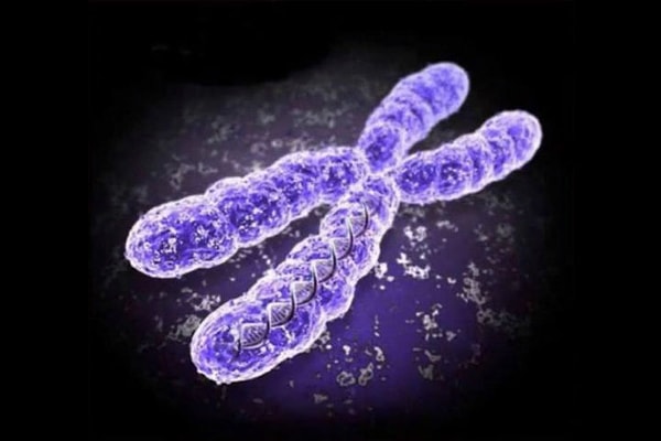 8. Какая из нижеперечисленных болезней относится к хромосомным?