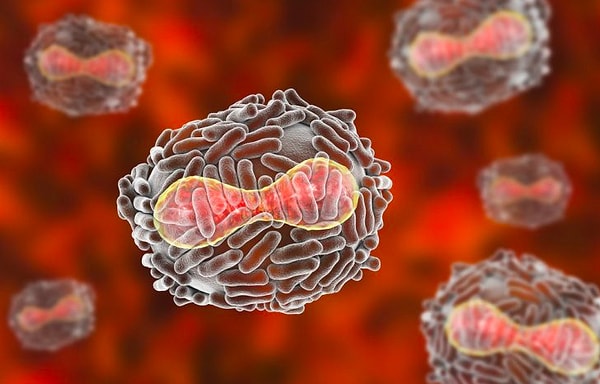 10. Как называется очень заразное вирусное заболевание, которое после себя оставляет на теле рубцы?