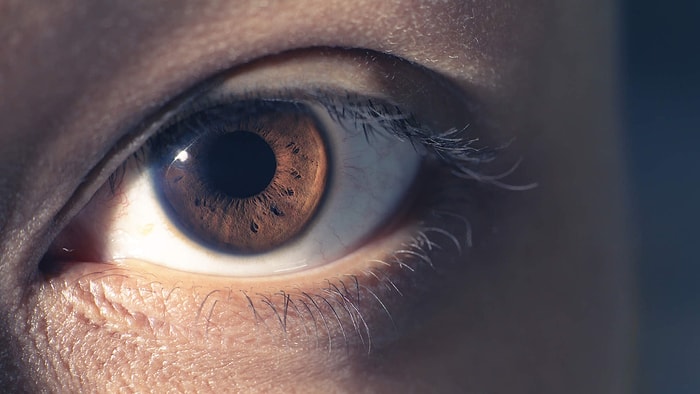 Тест для догадливых: сможете угадать, съедобное перед вами или нет?