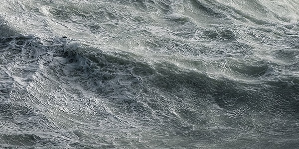 5. А это вы бы съели?