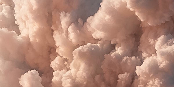 8. Соблазнитесь отведать?