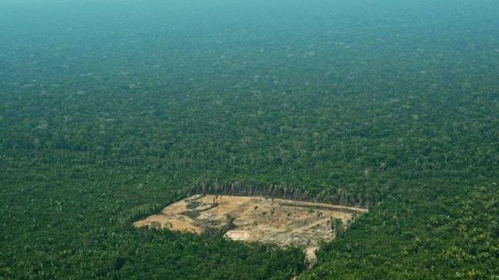 Dünyanın Akciğeri Baltalanıyor! Amazon Ormanlarında Bir Yılda Londra'nın 5 Katı Büyüklüğünde Kıyım