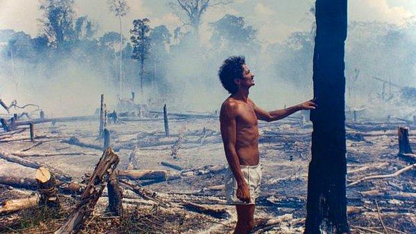 Brezilya Çevre Bakanı Edson Duarte, ağaçların yasadışı kesiminin ormanı tahrip ettiğini bildirdi.