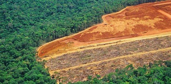 Amazon ormanlarında, 2004 yılında Haiti büyüklüğünde, 27 bin kilometrekarelik alan tahrip edilmişti.