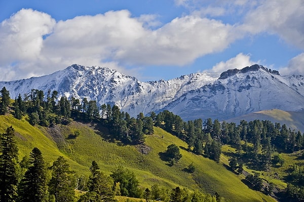 4. На четвертой позиции Карачаево-Черкессия (20,02 балла).