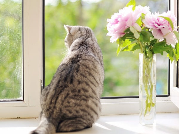 3. Вы больше предпочитаете проводить время дома или вне него?