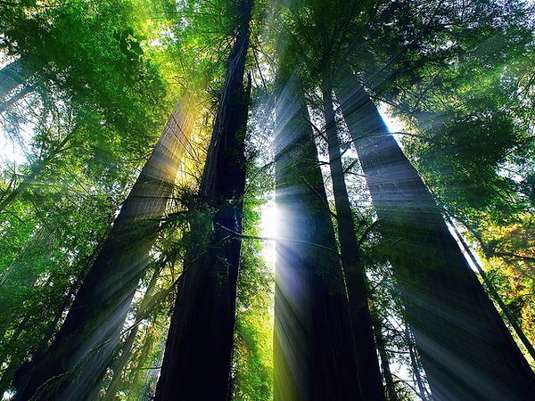 Миллионная жизнь!