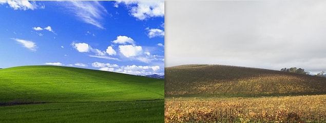 15. Sonoma County California, en ünlü Windows masaüstü arka planlarının çekildiği yerdi; mavi gökyüzü ya da resmi adı “Bliss” olan fotoğraf 1996 yılında çekildi.
