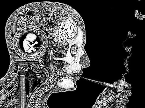 Мозг философа!