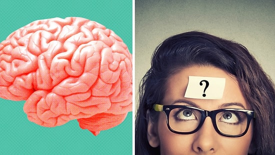 Тест: В чем действительно хорош ваш мозг? Ответьте всего на 8 вопросов и узнайте