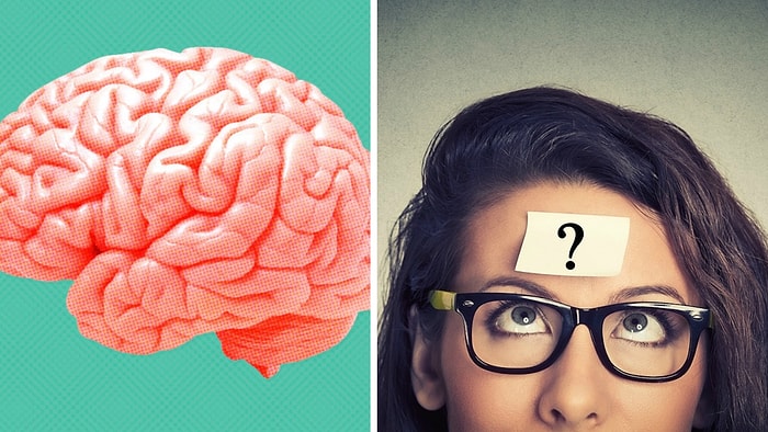 Тест: В чем действительно хорош ваш мозг? Ответьте всего на 8 вопросов и узнайте