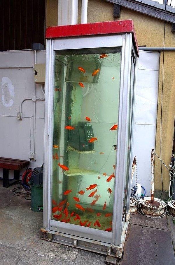 2. Aquaman'in telefon kulübesi mi bu?