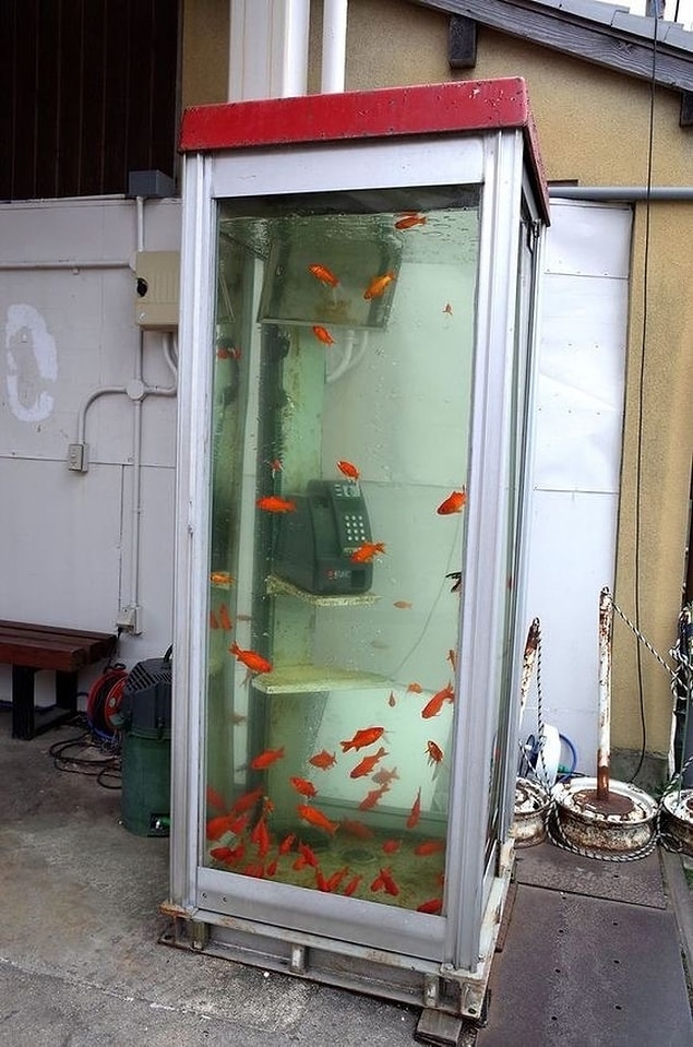 2. Aquaman'in telefon kulübesi mi bu?