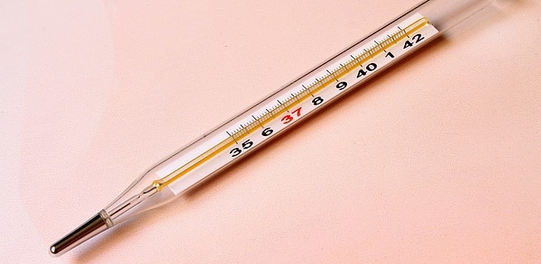 7. Выберите правильный ответ