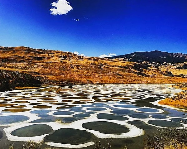8. Такое "пятнистое" озеро вы найдете только в одной стране мира. И эта страна - ...
