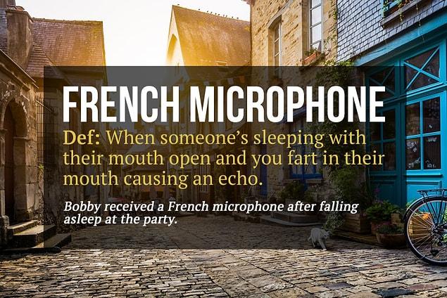 1. French Microphone: