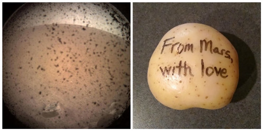 NASA'nın Mars'a Gönderdiği InSight'a Sosyal Medyadan Gelen Tepkiler