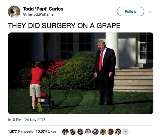 5. Donald Trump was shouting at the White House about the grape.