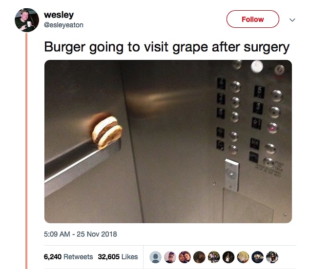 9. A kind-hearted burger visited the grape.