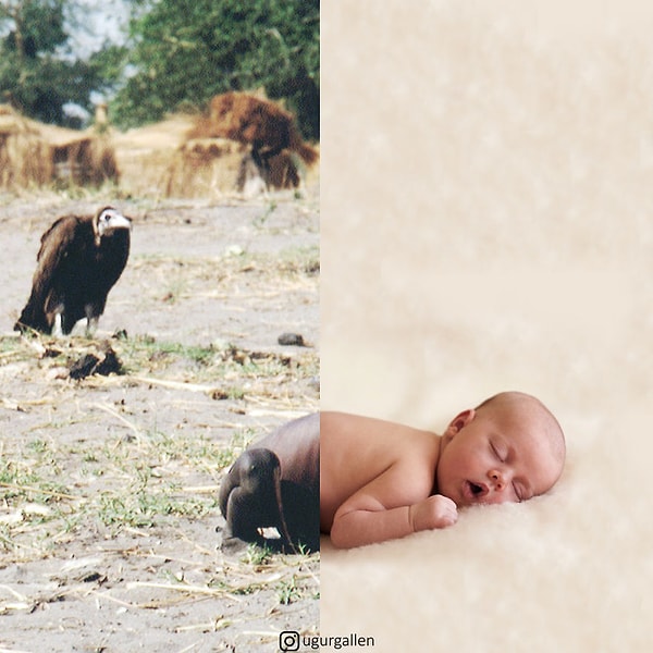 7. Конечно же, мы не можем помочь каждому человеку на земле.