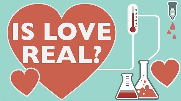 10. Что изучает наука Энтомология?