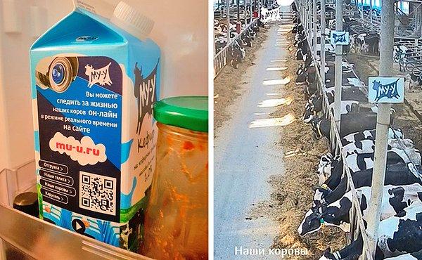 14. Rusya'da bir süt markası, sizleri online bir gezintiye davet ediyor.