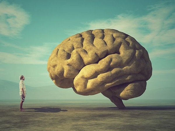 Ваш мозг на 10 лет старше вас самих.