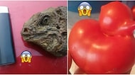 Oldukları Şeyden Çok Daha Farklı Görünen Birbirinden İlginç 16 Nesne