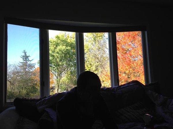 5. Her camında farklı bir mevsim yaşanan pencere.