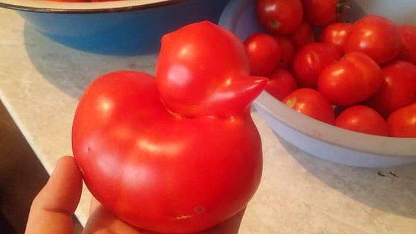 9. Banyo ördeği taklidi yapan domates.