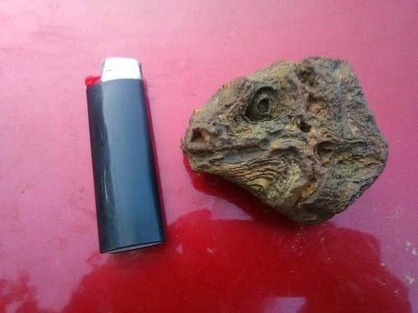 14. Çakmağın yanındaki sadece bir taş, iguana kafası değil.