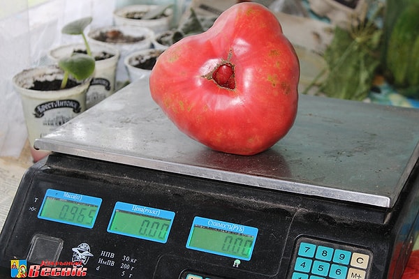 3. "Здравствуйте, а будьте добры килограмм помидоров..."