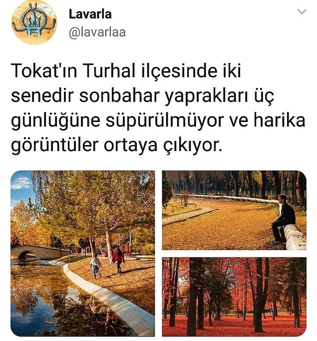 7. Kasımda aşk başka olmuş.