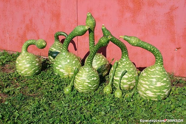 8. Выглядит сюрреалистично, однако...