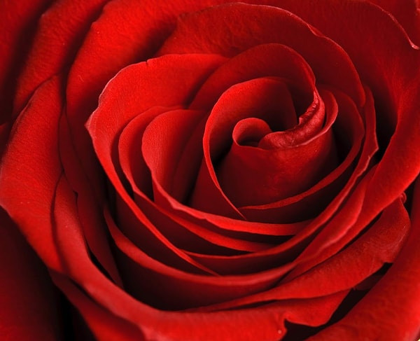 6. Какой цвет считается противоположным красному?