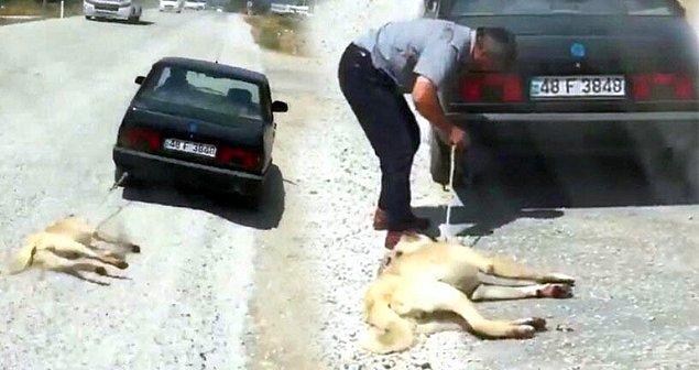 Ramazan D.'nin 'köpeğini arabasının arkasına bağlayıp sürüklemesi' sosyal medyanın gündemine oturmuştu