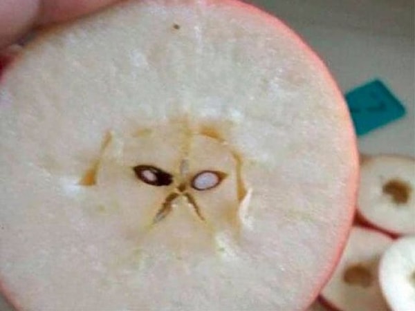 6. Продолжайте...